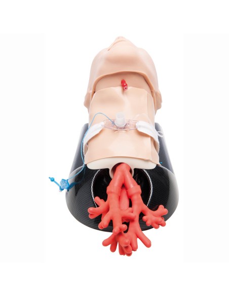 AirSim Combo bronchi X