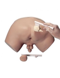 Advanced simulator for prostate examination practice, 4...