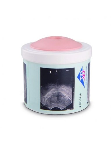 Prostate Examination Practice Simulator, 4...