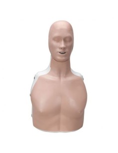 3B Scientific P72 BLS Basic Billy Manikin
