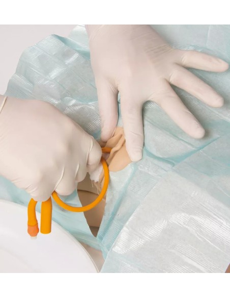 Simulatore di cateterizzazione vescicale femminile - Erler Zimmer 7050