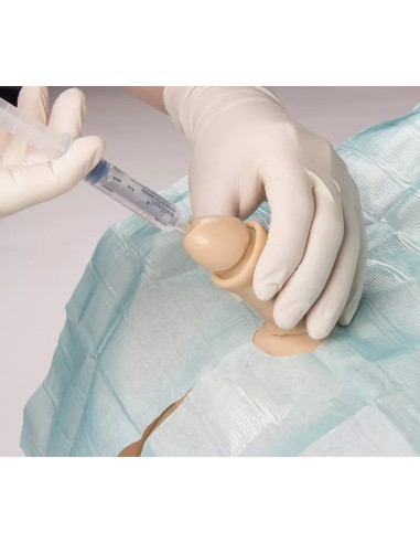 Male and Female Bladder Catheterization...