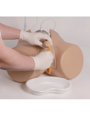 Simulateur de cathétérisme vésical masculin et...