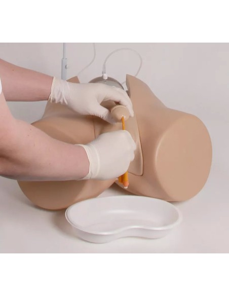 Male and Female Bladder Catheterization Simulator - Erler Zimmer 7030