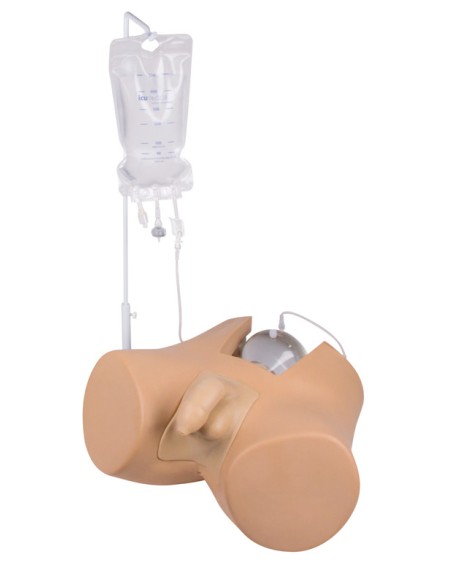 Male Bladder Catheterization Simulator  - Erler Zimmer 7040