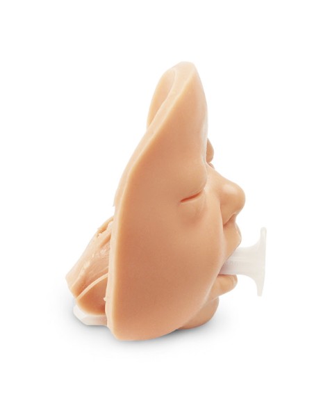 Simulador de recién nacido para la gestión de las vías respiratorias Erler Zimmer R10751