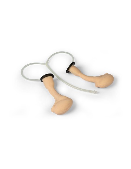 Simulatore chirurgico per castrazione equina Erler Zimmer EZ-VET4810