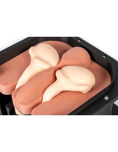 Simulateur chirurgical pour la castration des...