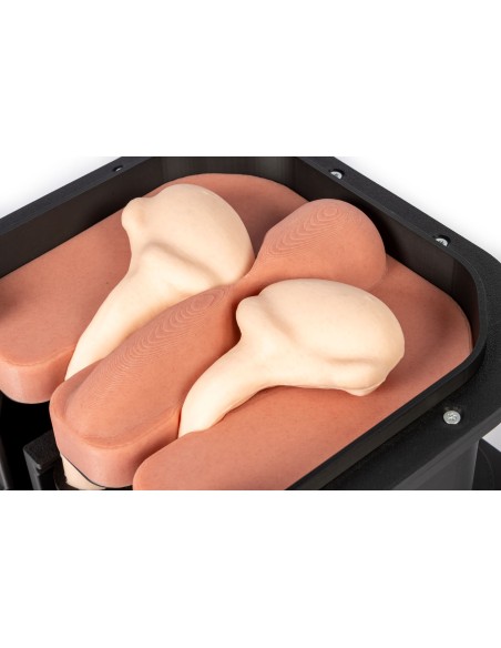 Simulateur chirurgical pour la castration des chevaux Erler Zimmer EZ-VET4810