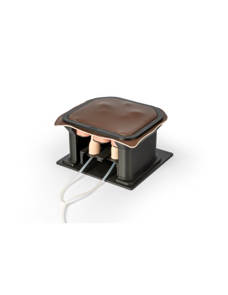 Simulateur chirurgical pour la castration des chevaux Erler Zimmer EZ-VET4810