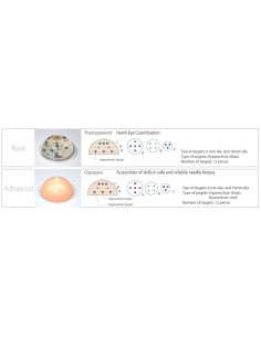 Kit Addestramento Biopsia mammaria ad ultrasuoni  (2Pz)...