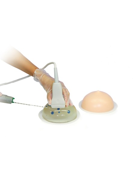 Kit de formation à la biopsie mammaire par échographie (2 pièces) R16675