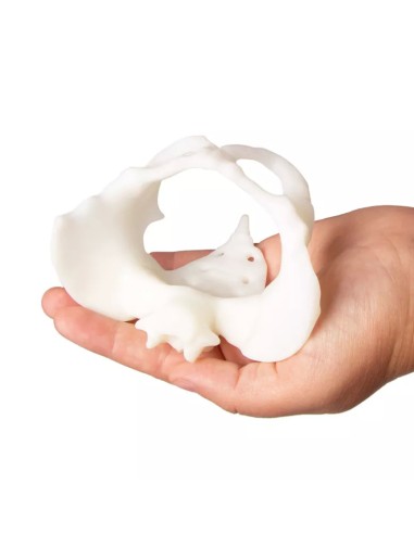 Mini bacino femminile con bambola per...