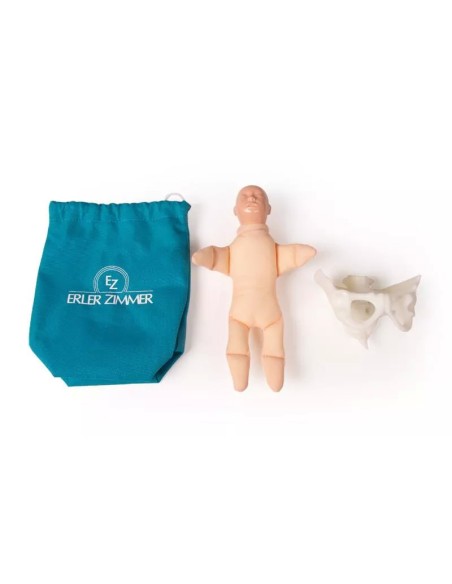 Erler Zimmer, modello anatomico di scheletro del bacino femminile a montaggio elastico 4054G