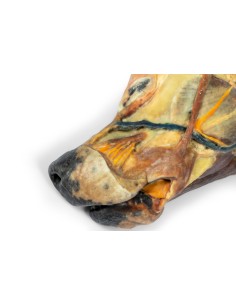 Coupe sagittale de la tête d'un chien – Erler Zimmer VP9020 2
