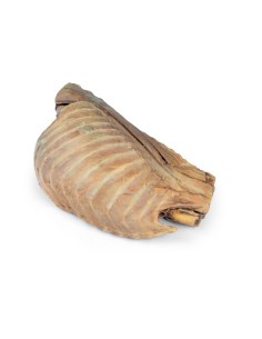 Thoracic cavity of a dog, left side – Erler Zimmer VP9050 2