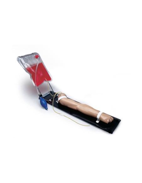 Bras de simulation pédiatrique pour injections et prélèvements veineux, enfant de 5 ans, Erler Zimmer EZ-R17676