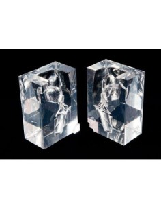 Erler Zimmer, transparent anatomical model of pharyngeal...