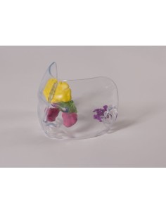 Anatomical model of a full-size transparent nose - Erler...