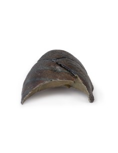 Polmone destro, ilo rimosso - Erler Zimmer 3D anatomy...