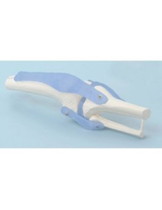 Erler Zimmer, anatomisches Funktionsmodell des...