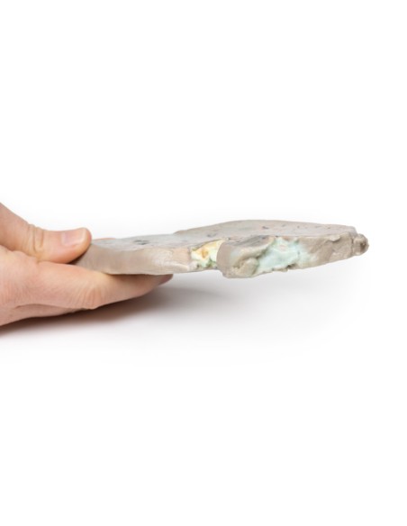 Foie gras - Erler Zimmer 3D anatomy Series MP2072