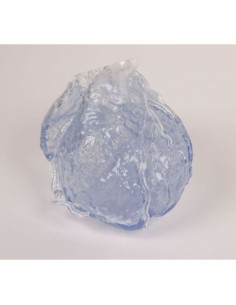 Erler Zimmer, anatomical model of transparent heart with...