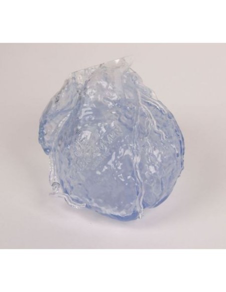 Erler Zimmer, anatomical model of transparent heart with hollow coronary arteries R50320