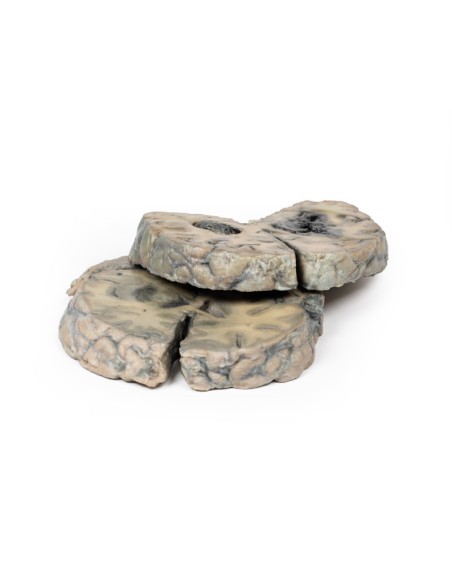 Hemorragia intracerebral - Erler Zimmer 3D anatomy Series MP2012