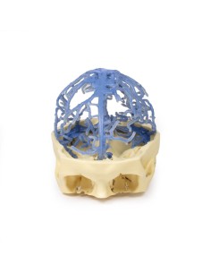 Circolazione venosa del cranio - Erler Zimmer 3D anatomy...