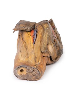 Disección de hemipelvis y muslo masculino - Erler Zimmer...