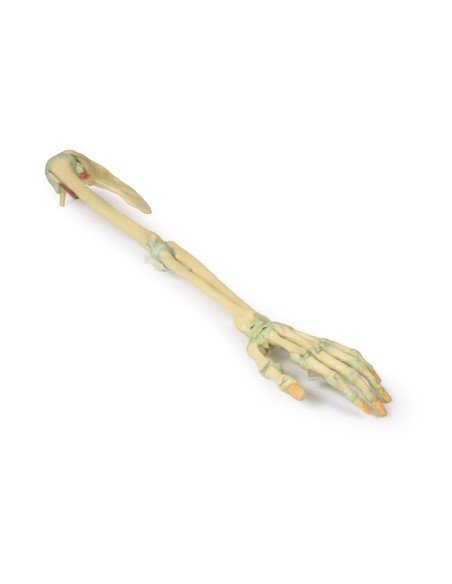 Legamenti dell'arto superiore - Erler Zimmer 3D anatomy Series MP1520