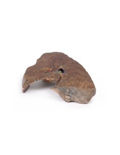 Ilo del pulmón izquierdo - Erler Zimmer 3D anatomy Series... 2