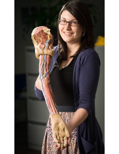 Dissection of the upper limb - Erler Zimmer 3D...