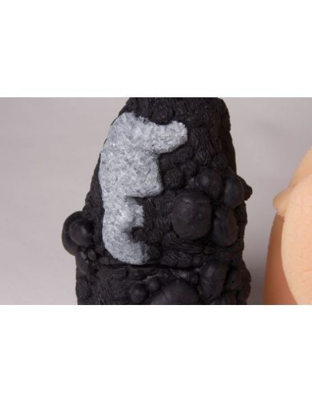 Erler Zimmer, Comparison of Lung Cancer R10063